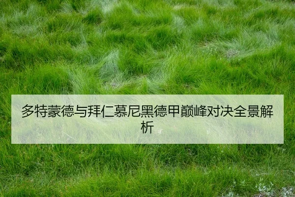 多特蒙德与拜仁慕尼黑德甲巅峰对决全景解析